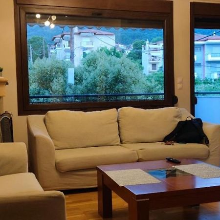 Luxury Apartment Olympus Mountain View Litochoro Exterior foto