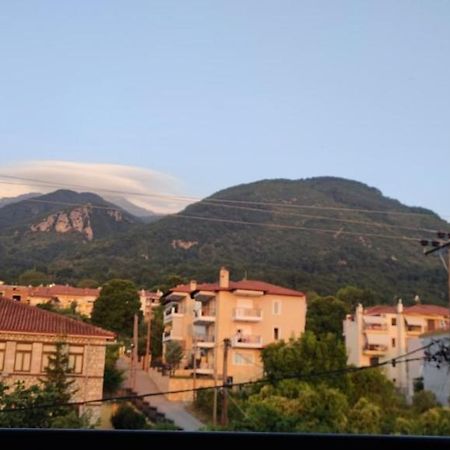 Luxury Apartment Olympus Mountain View Litochoro Exterior foto